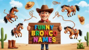 funny bronco names