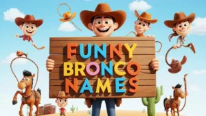 funny bronco names