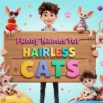 funny names for hairless cats