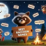 best raccoon names