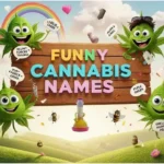 funny cannabis names